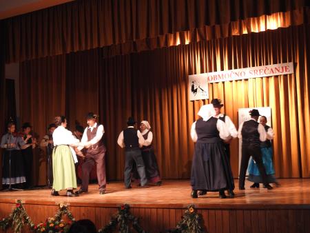 Prlekija pleše in poje, območno srečanje odraslih folklornih skupin 29